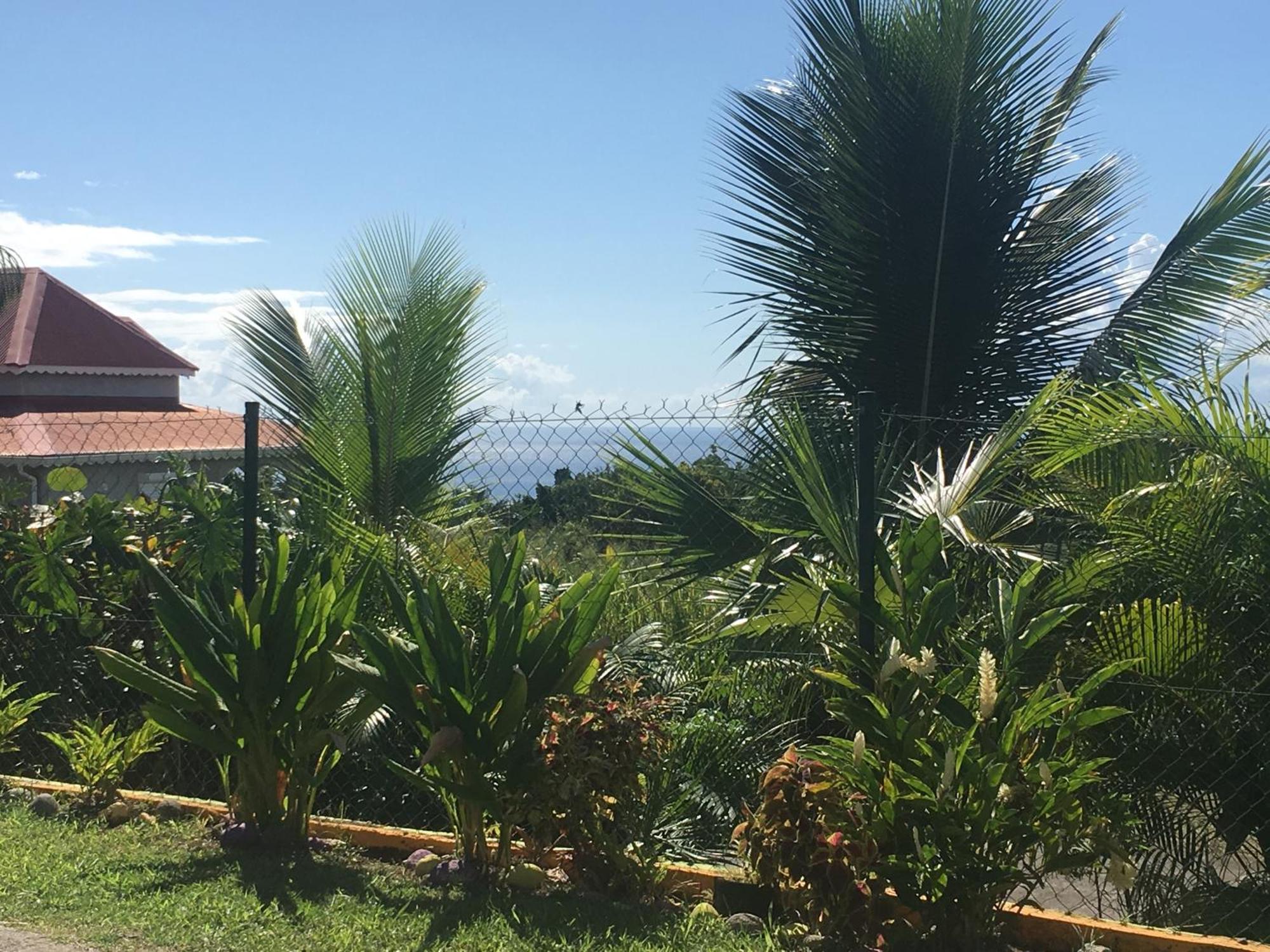 Villa A Rabica - Extrait De Cafe Pointe-Noire Exteriér fotografie