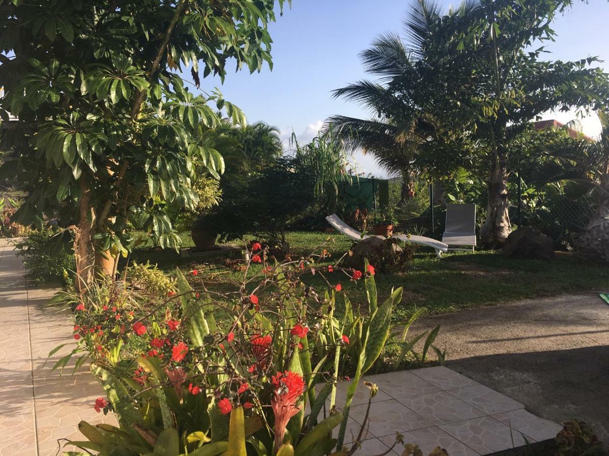 Villa A Rabica - Extrait De Cafe Pointe-Noire Exteriér fotografie